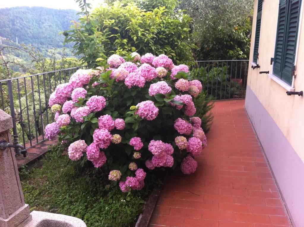 Casa Lia Arcola Exterior foto